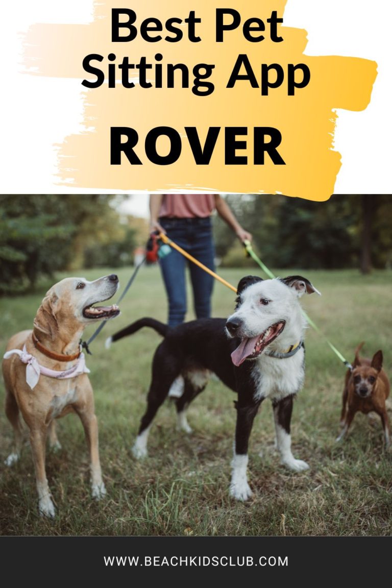 #1 Best Pet Sitting App- Rover