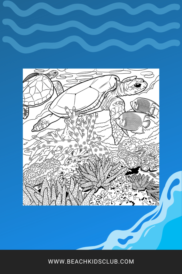 Beach Coloring Pages