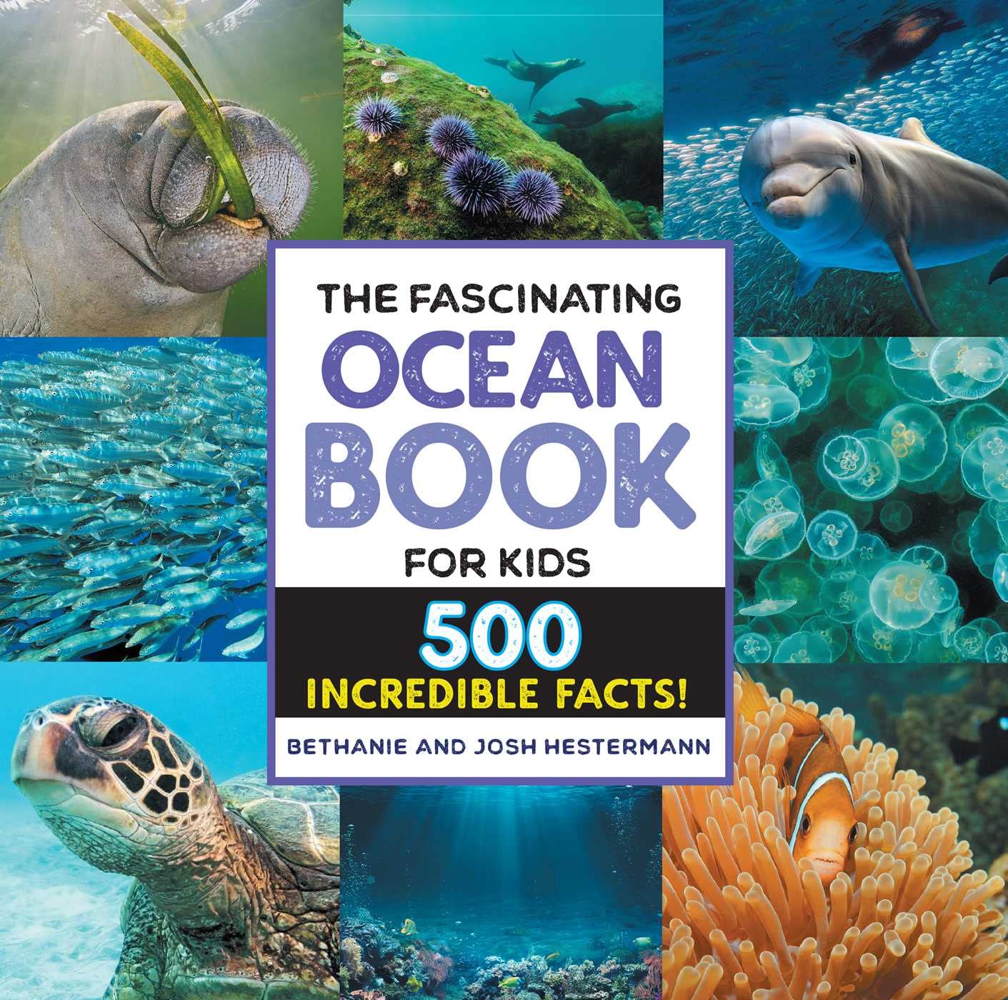 oceanbook