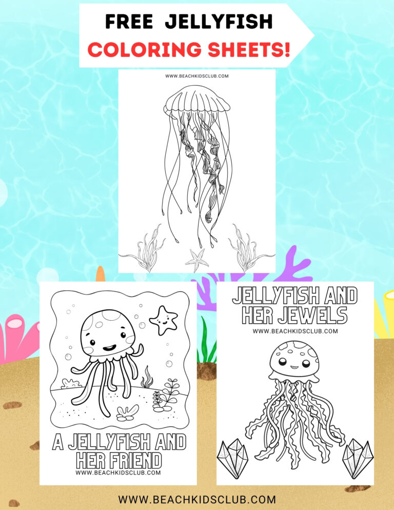 3 FREE Jellyfish Coloring Pages for Kids!