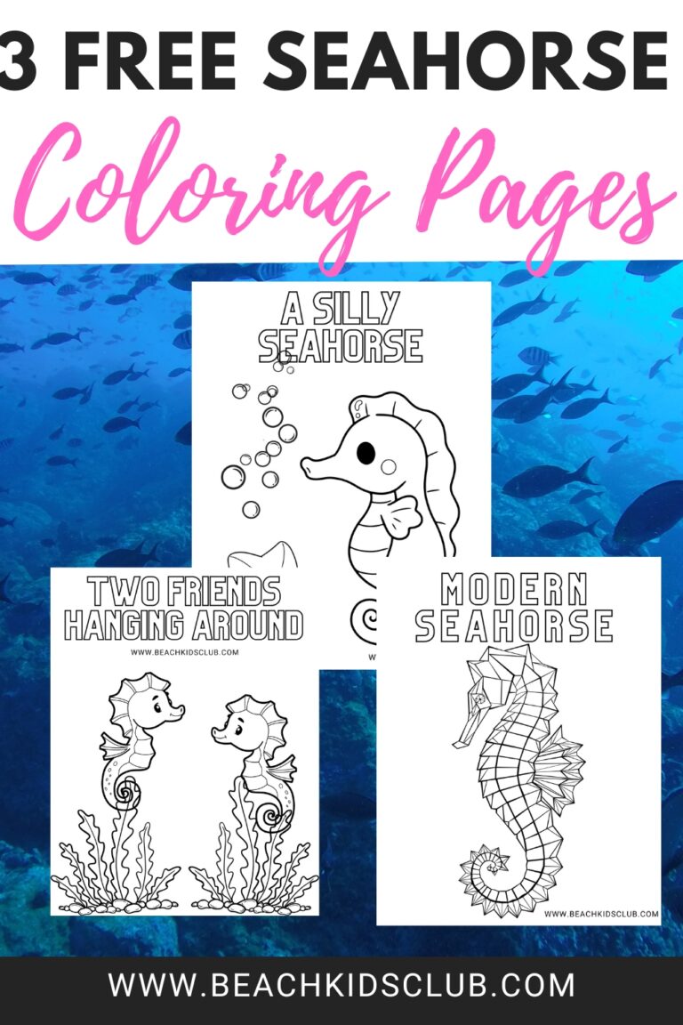 3 FREE Cute Coloring Pictures of Seahorses (Easy to Print!)