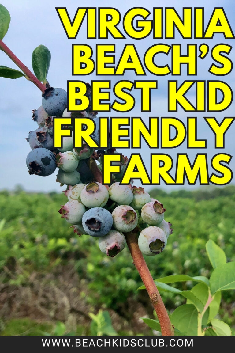 Best Local Farms in Virginia Beach 2025